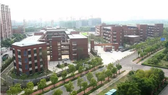 1504856716527269.jpg 1504856716527269.jpg