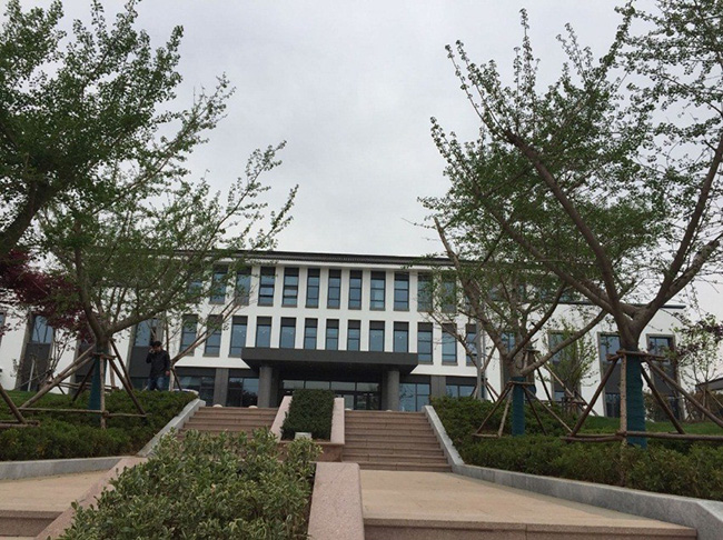 1558507889413967.jpg 2.jpg