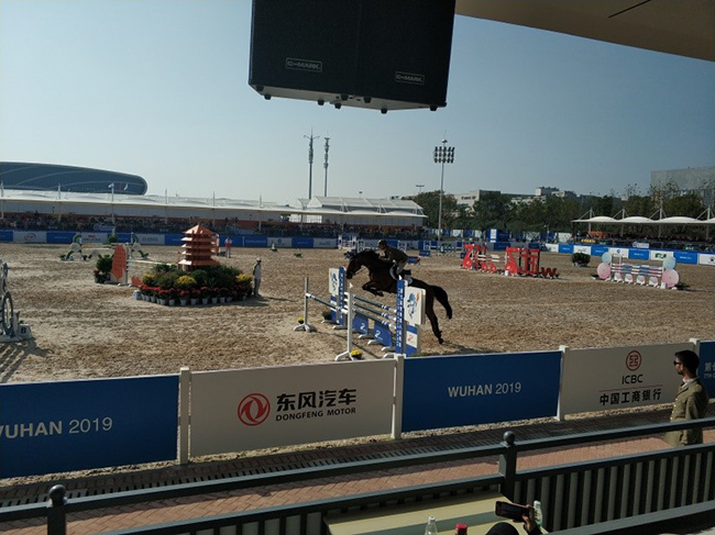 1571625122456160.jpg 5.jpg